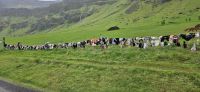 PICTURES/Icelandic Oddities/t_Line of Bras (2).jpg